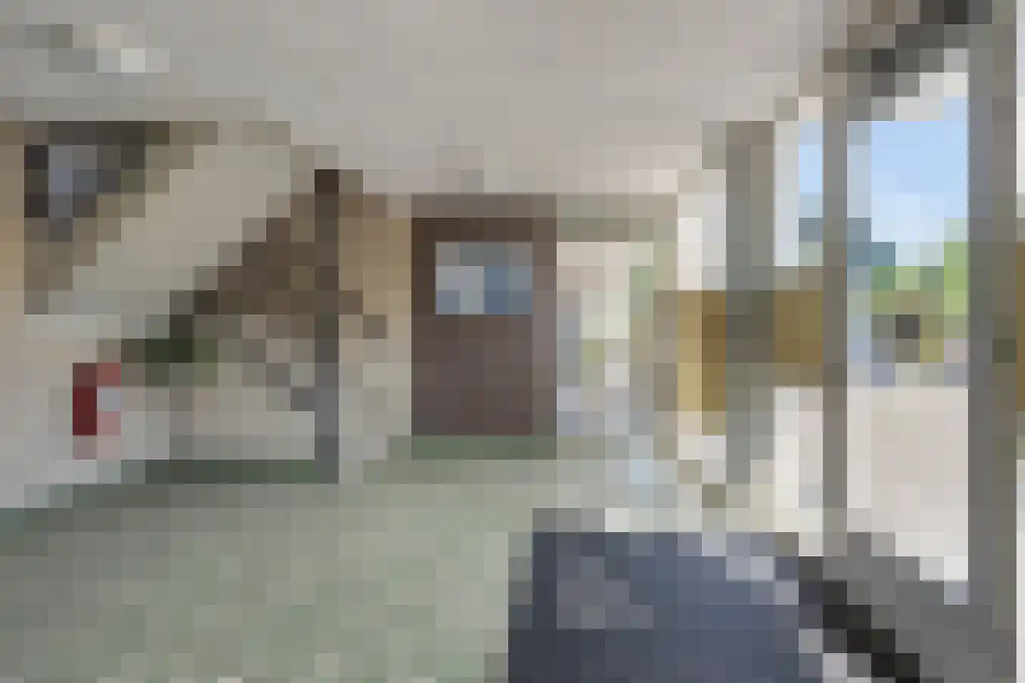 Padmoes 36 Delfgauw thumbnail 8