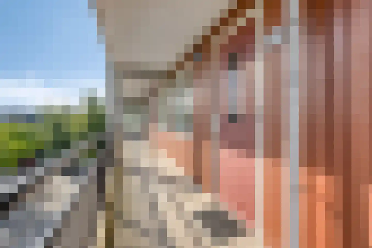 Padmoes 36 Delfgauw thumbnail 9