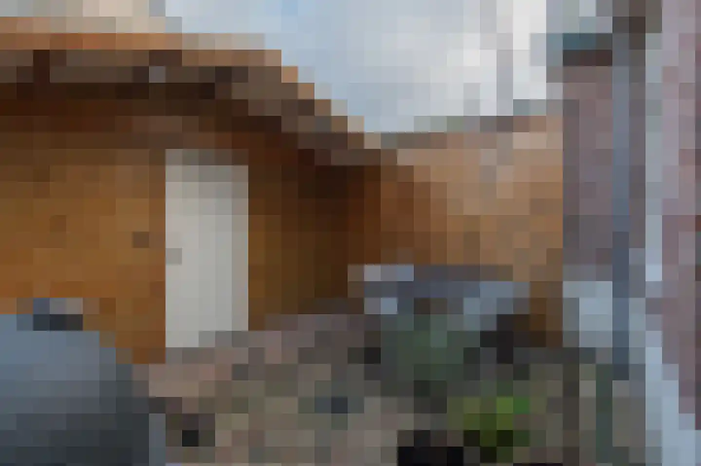 Padoxlaan 7 Warmond thumbnail 28