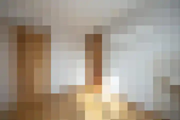 Paduaplein 16 Tilburg thumbnail 16
