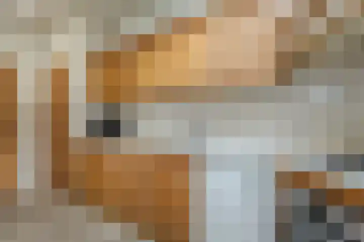 Paduaplein 8 Tilburg thumbnail 13