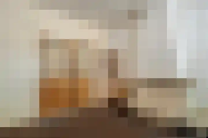 Paduaplein 8 Tilburg thumbnail 17