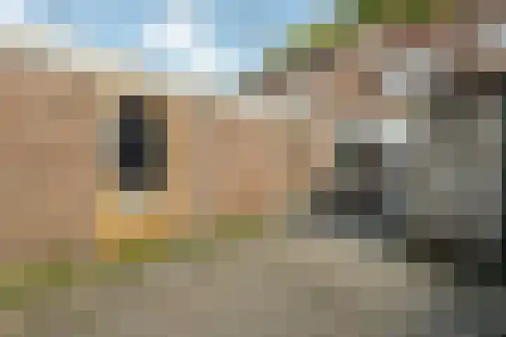 Paduaplein 8 Tilburg thumbnail 36