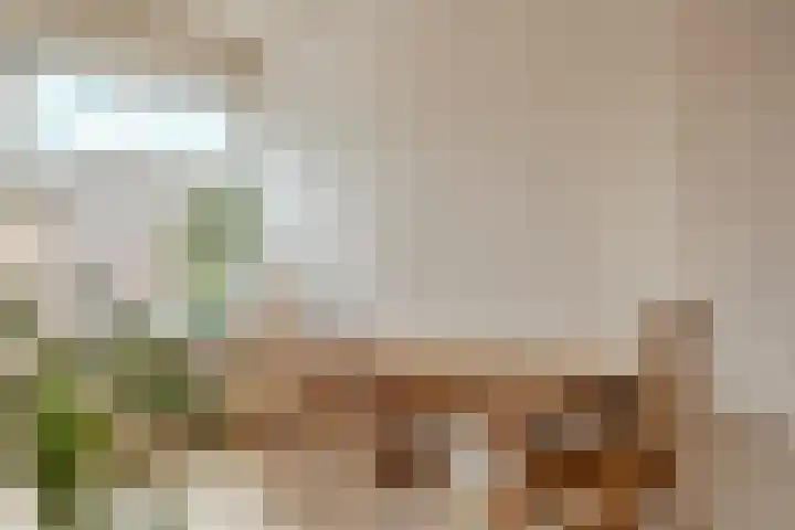 Paduaplein 8 Tilburg thumbnail 7