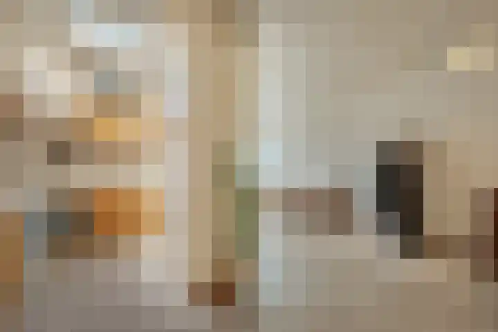 Paduaplein 8 Tilburg thumbnail 9