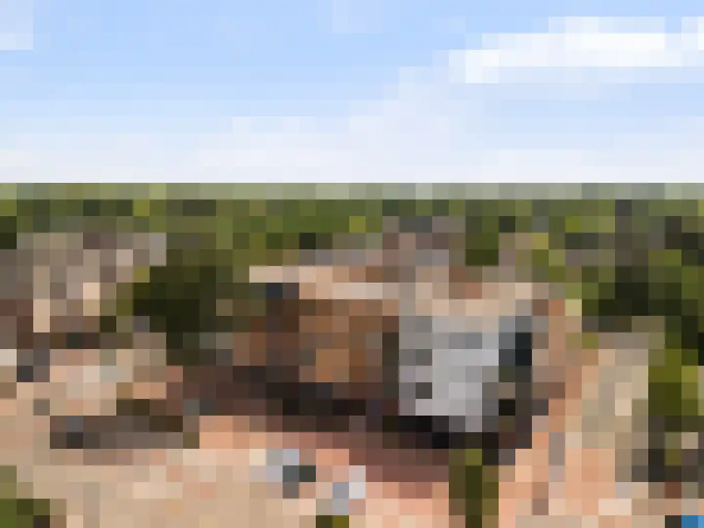 Paduaweg 1 K Den Dolder thumbnail 26