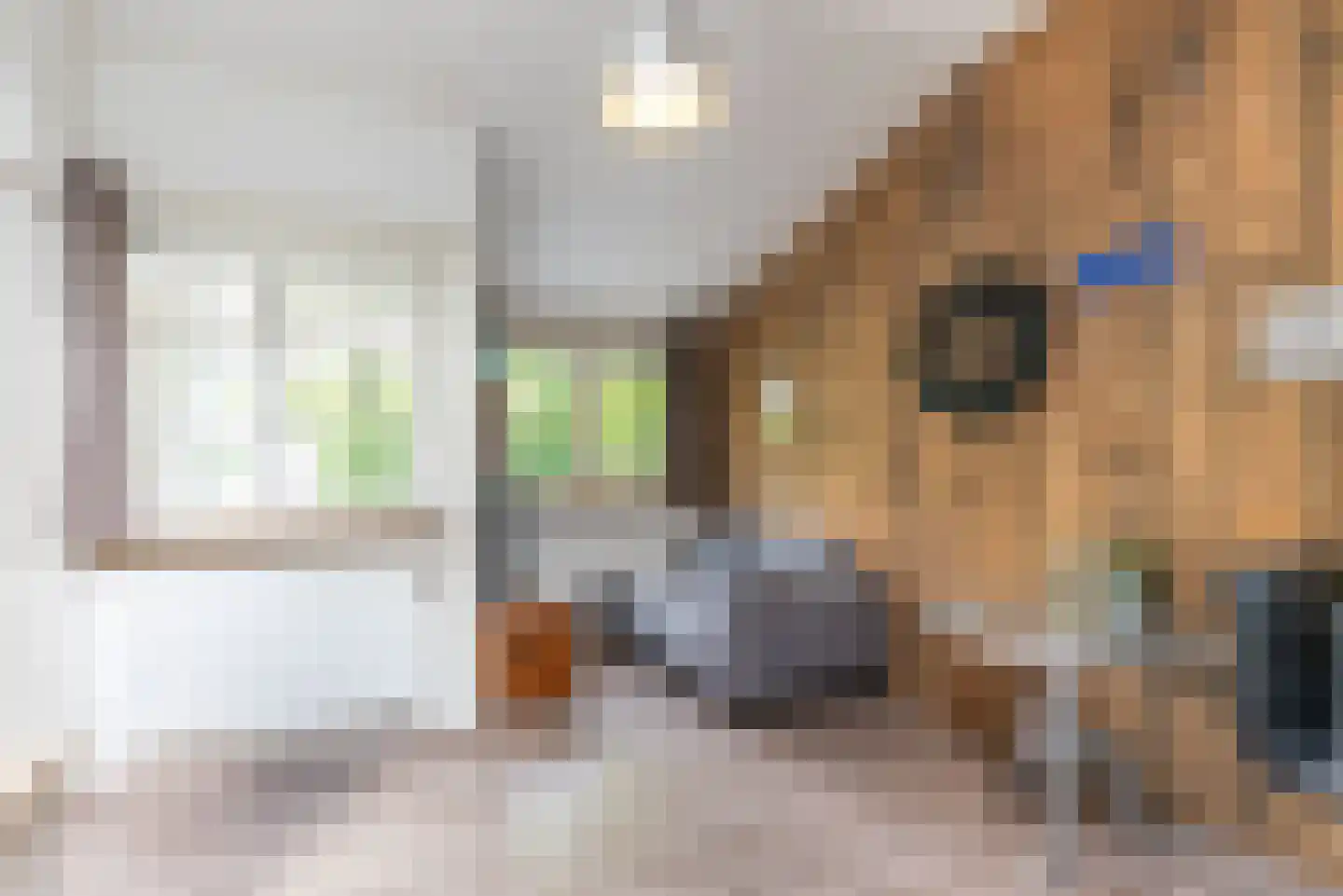 Paduaweg 11 Den Dolder thumbnail 15