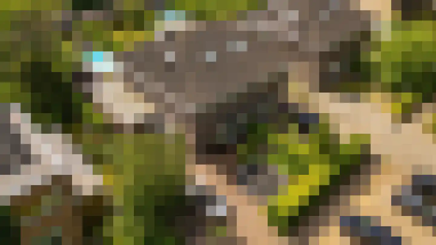 Paduaweg 11 Den Dolder thumbnail 39