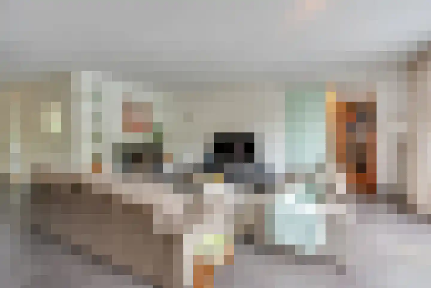 Paduaweg 11 Den Dolder thumbnail 4