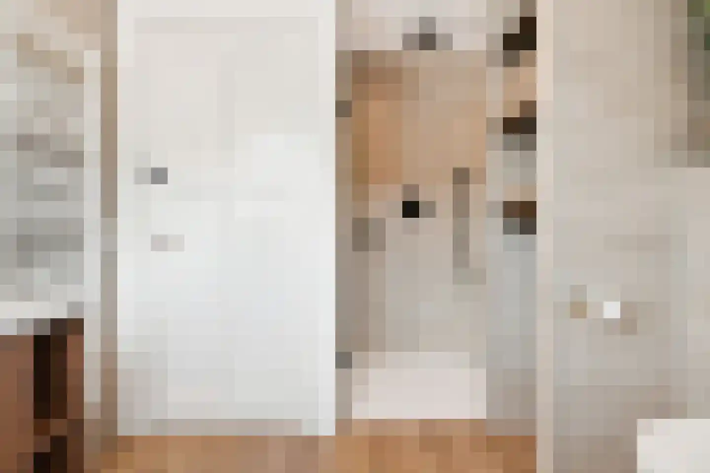 Padvinderstraat 19 Hengelo thumbnail 32