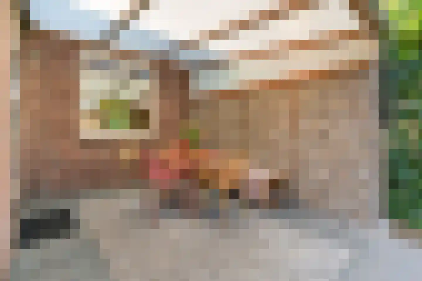 Padvinderstraat 19 Hengelo thumbnail 37