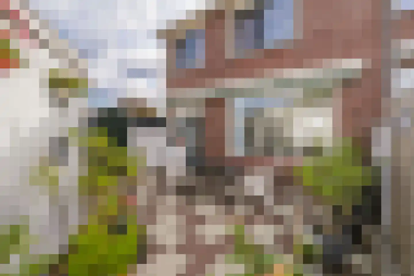 Padweg 40 Oost-Souburg thumbnail 20