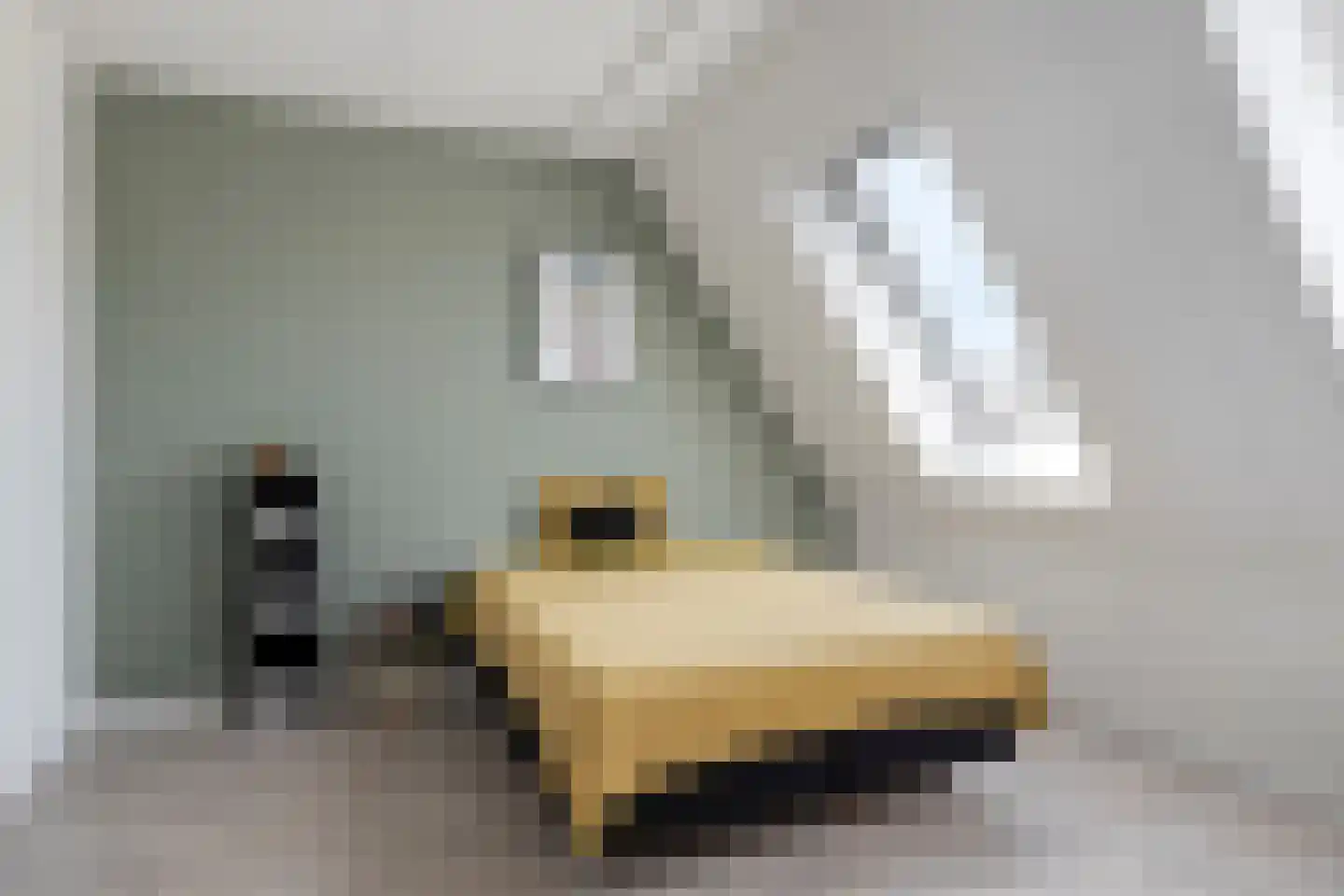 Padwei 10 Ovezande thumbnail 16