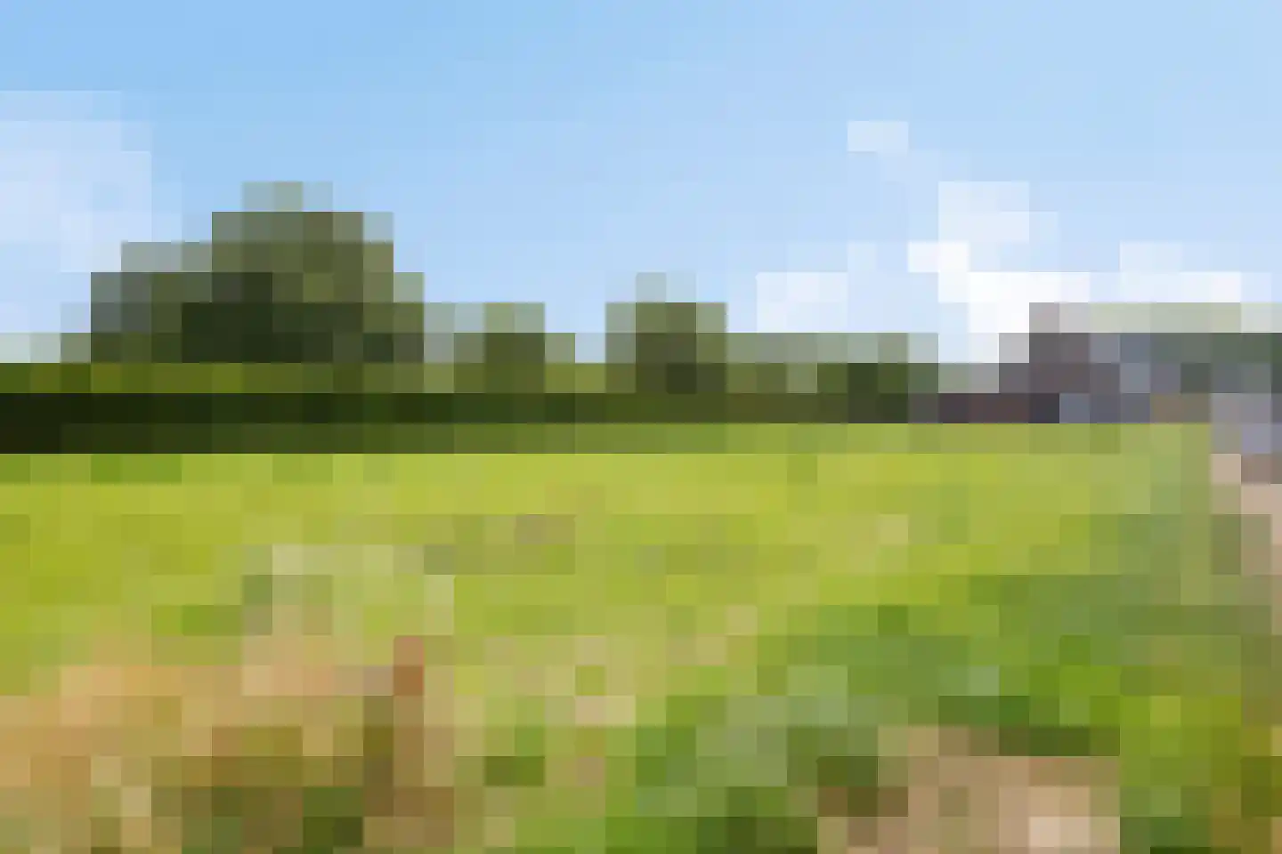 Padwei 10 Ovezande thumbnail 24