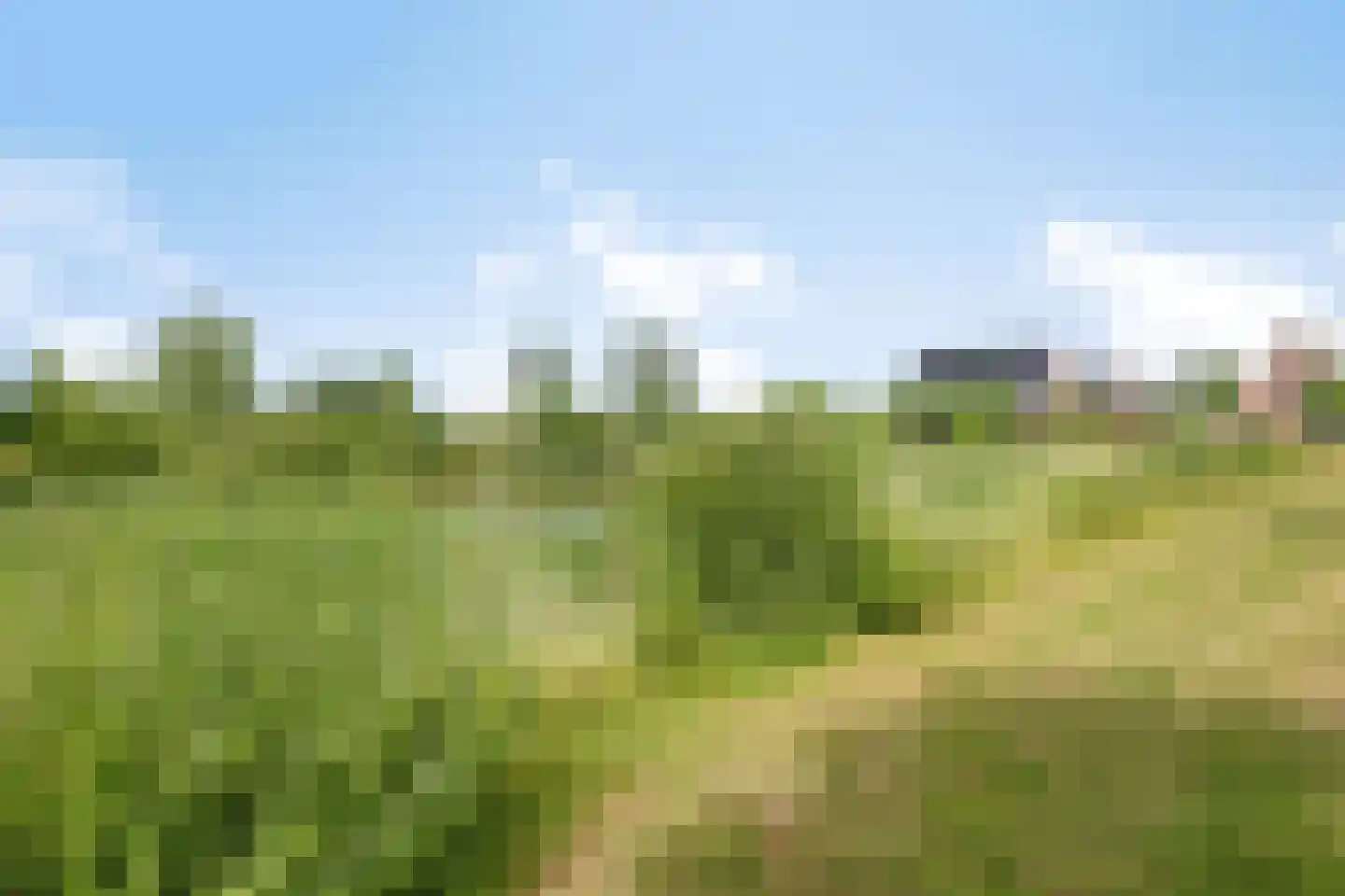 Padwei 10 Ovezande thumbnail 26