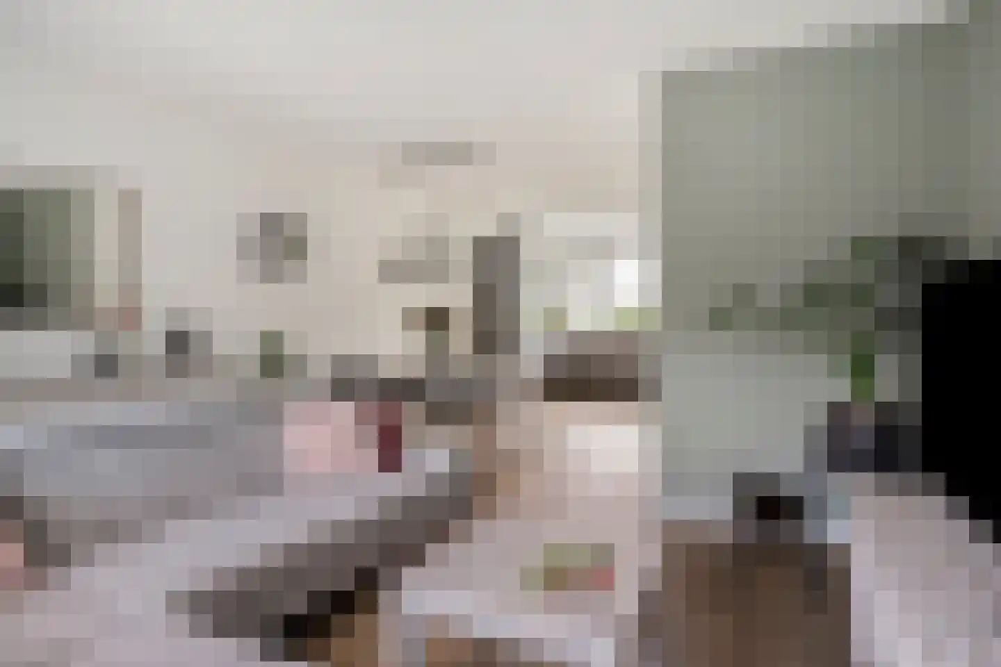 Padwei 10 Ovezande thumbnail 4