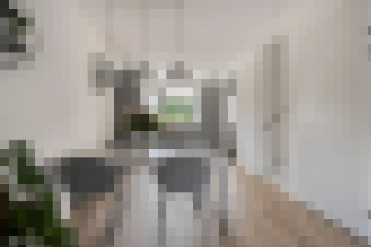 Padwei 10 Ovezande thumbnail 7