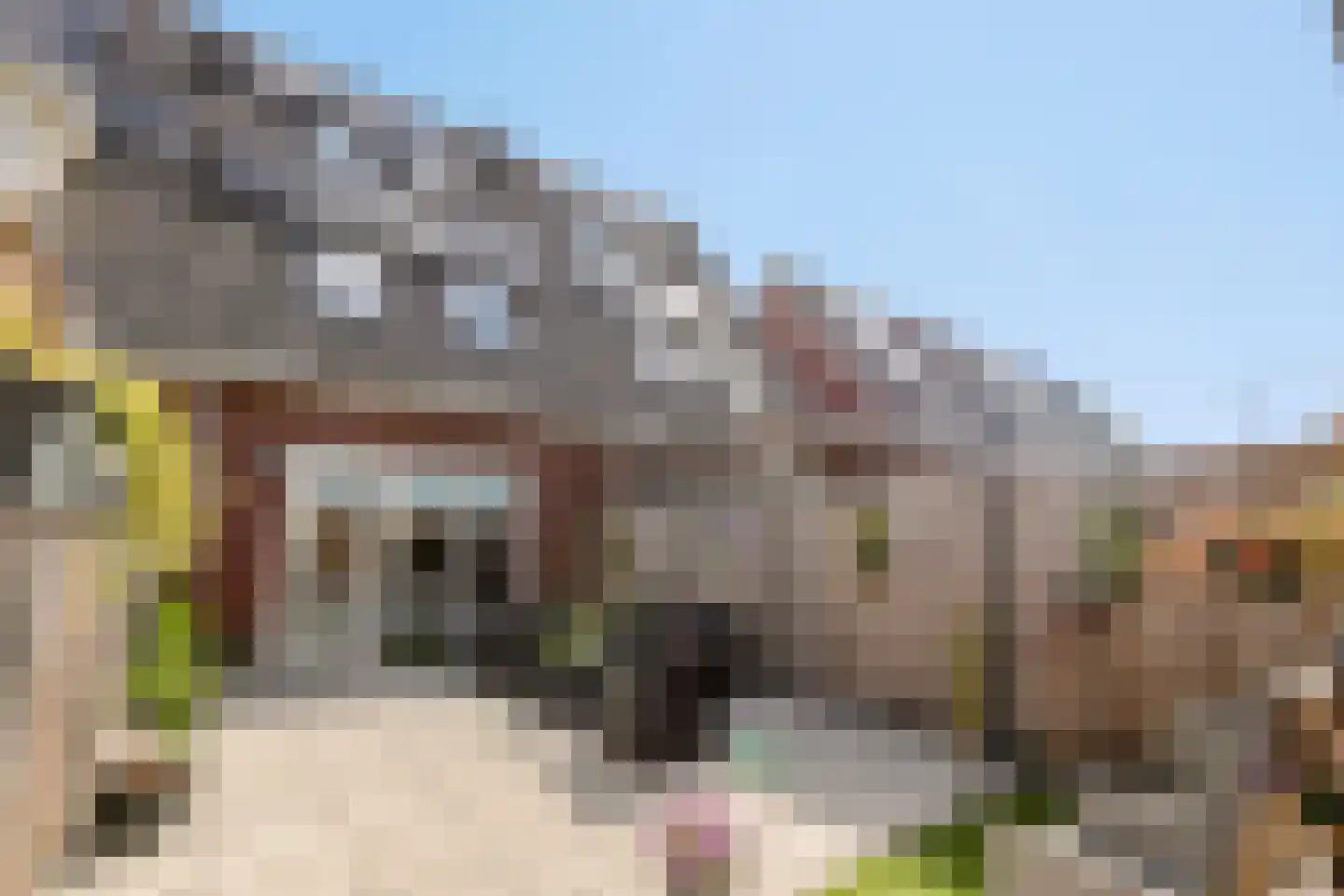 Padwei 10 Ovezande thumbnail 9
