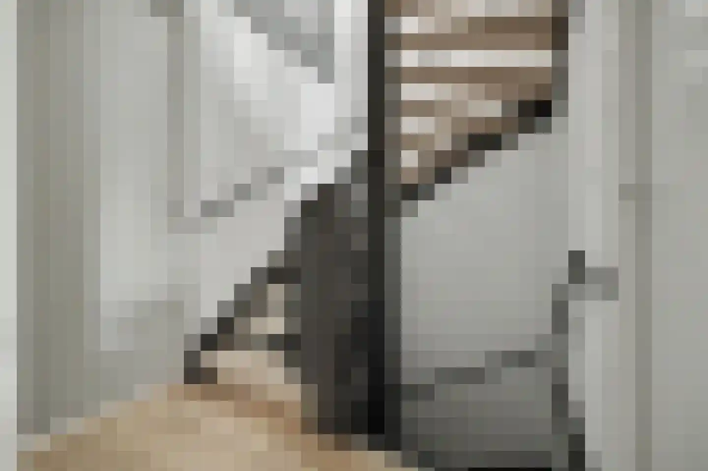 Padwei 20 Ovezande thumbnail 13