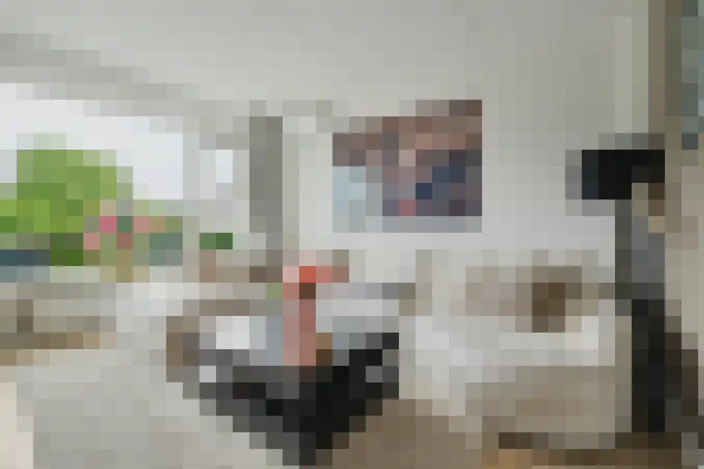 Padwei 20 Ovezande foto 2