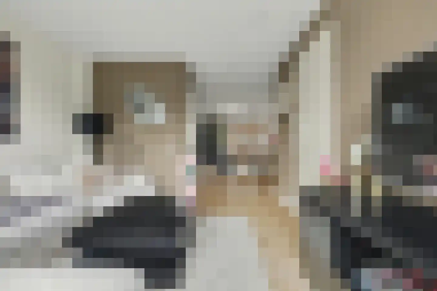 Padwei 20 Ovezande thumbnail 8