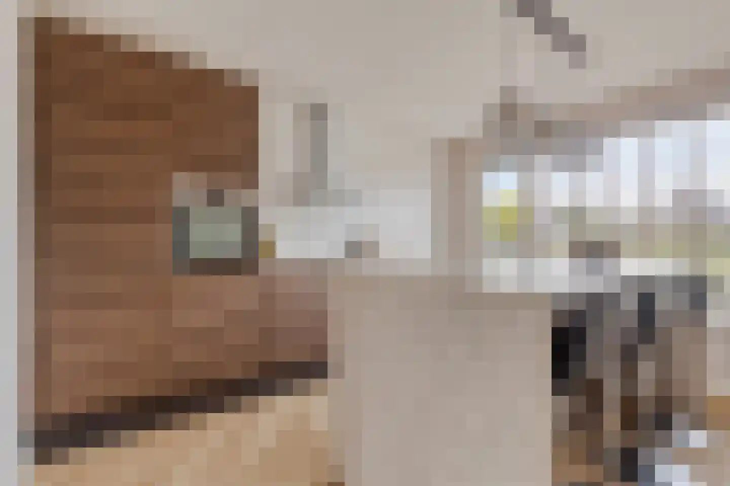 Padwei 6 Ovezande thumbnail 14