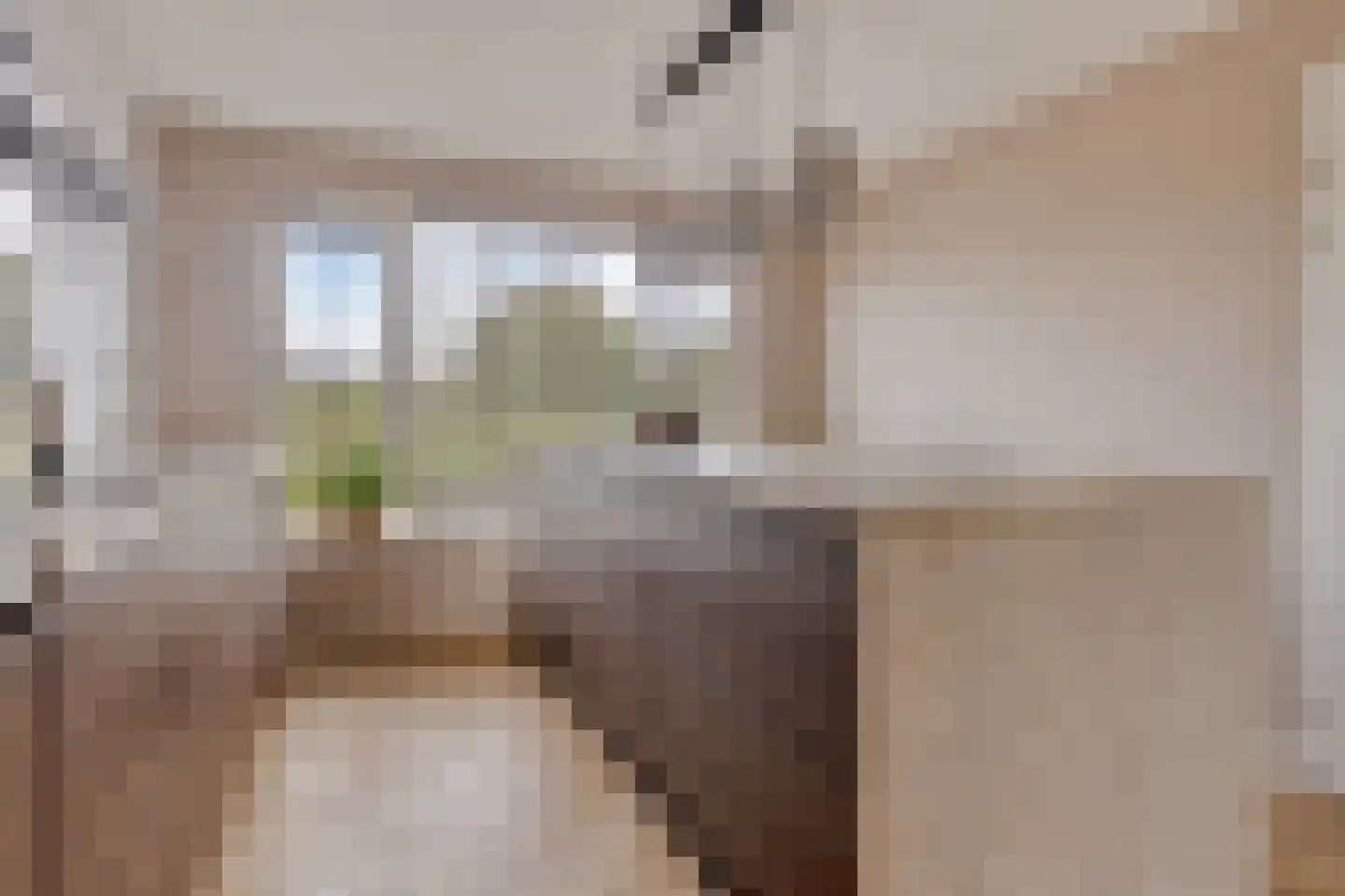 Padwei 6 Ovezande thumbnail 15