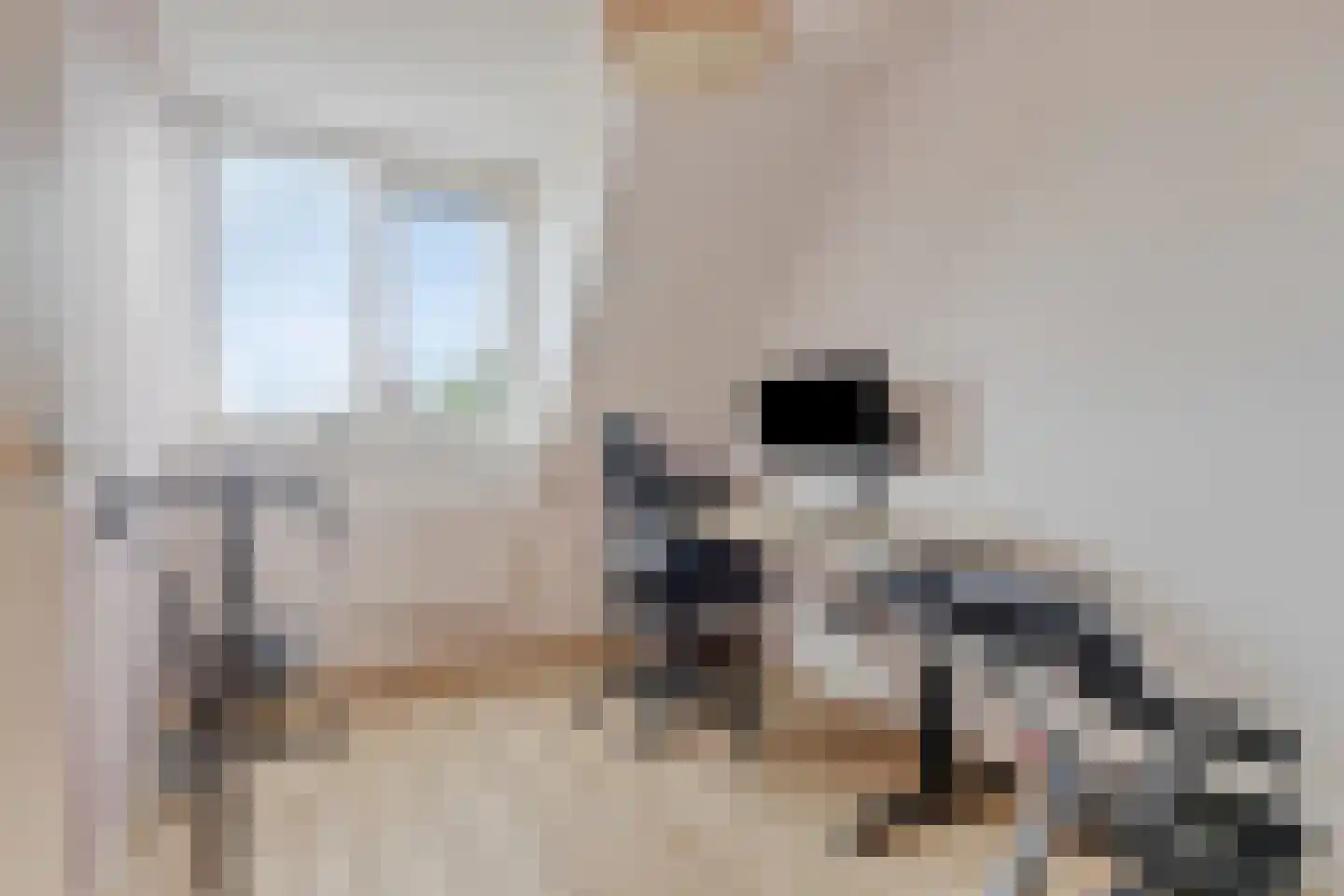 Padwei 6 Ovezande thumbnail 24