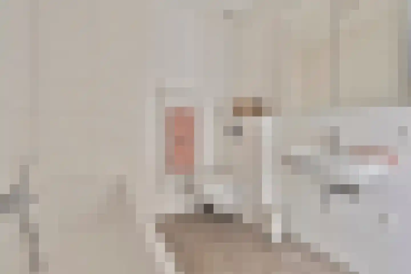 Padwei 6 Ovezande thumbnail 26