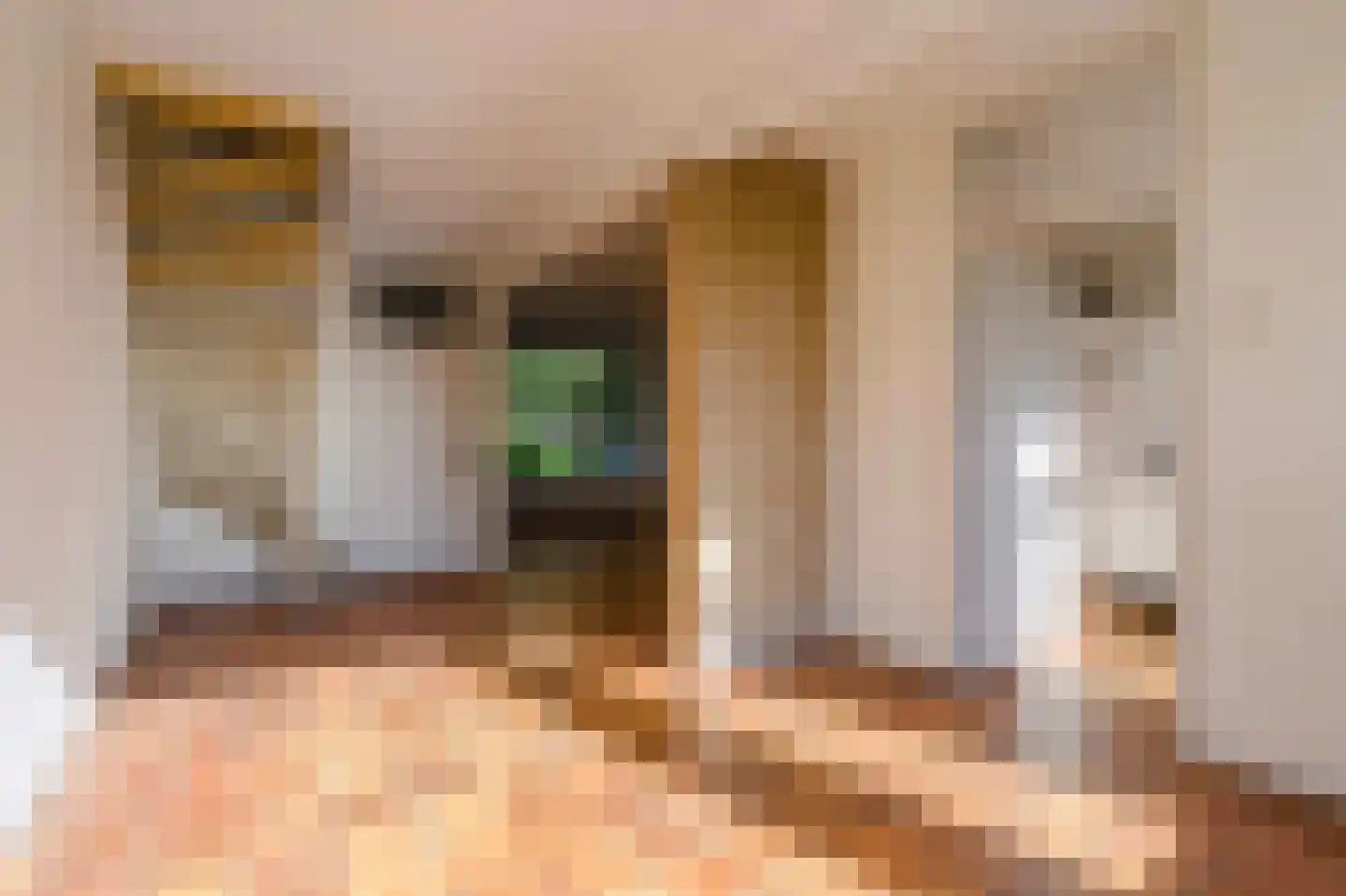Paedsenakker 20 Rijnsburg thumbnail 18
