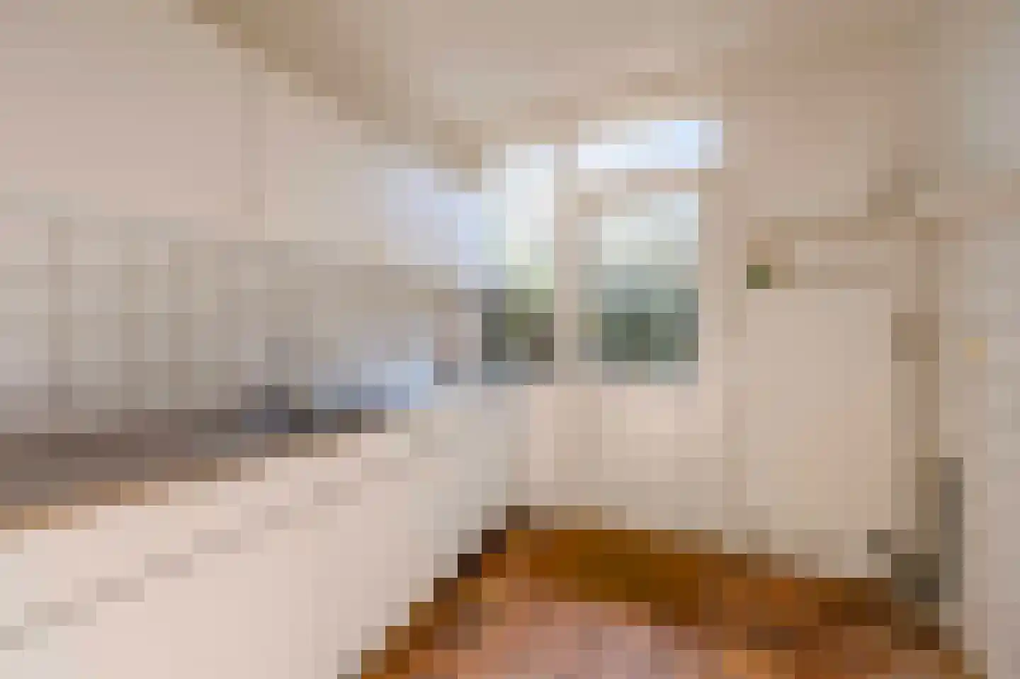 Paedsenakker 20 Rijnsburg thumbnail 20
