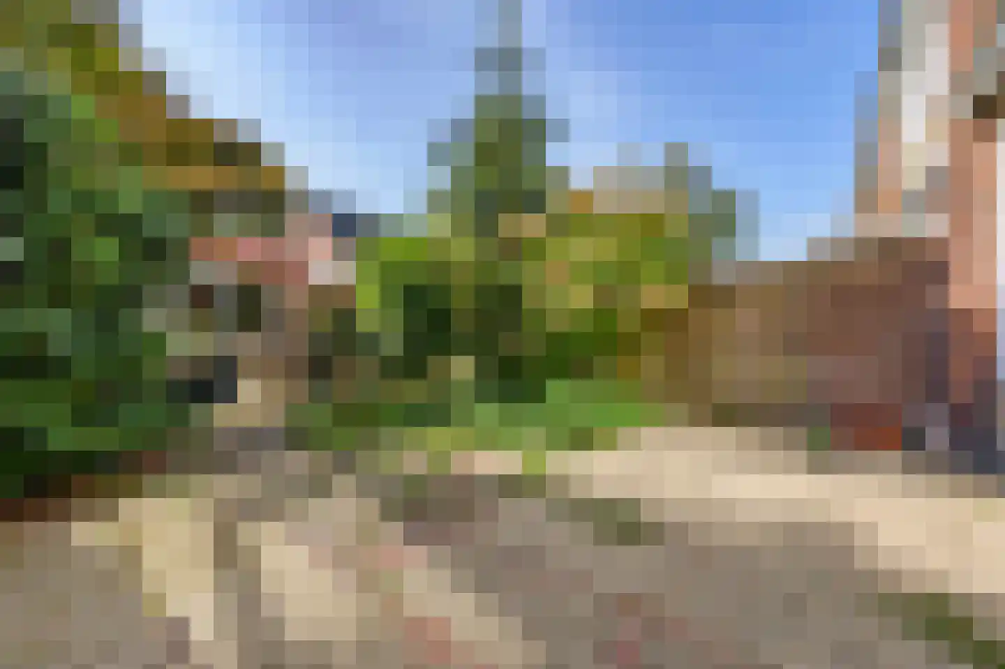 Paedsenakker 20 Rijnsburg thumbnail 22