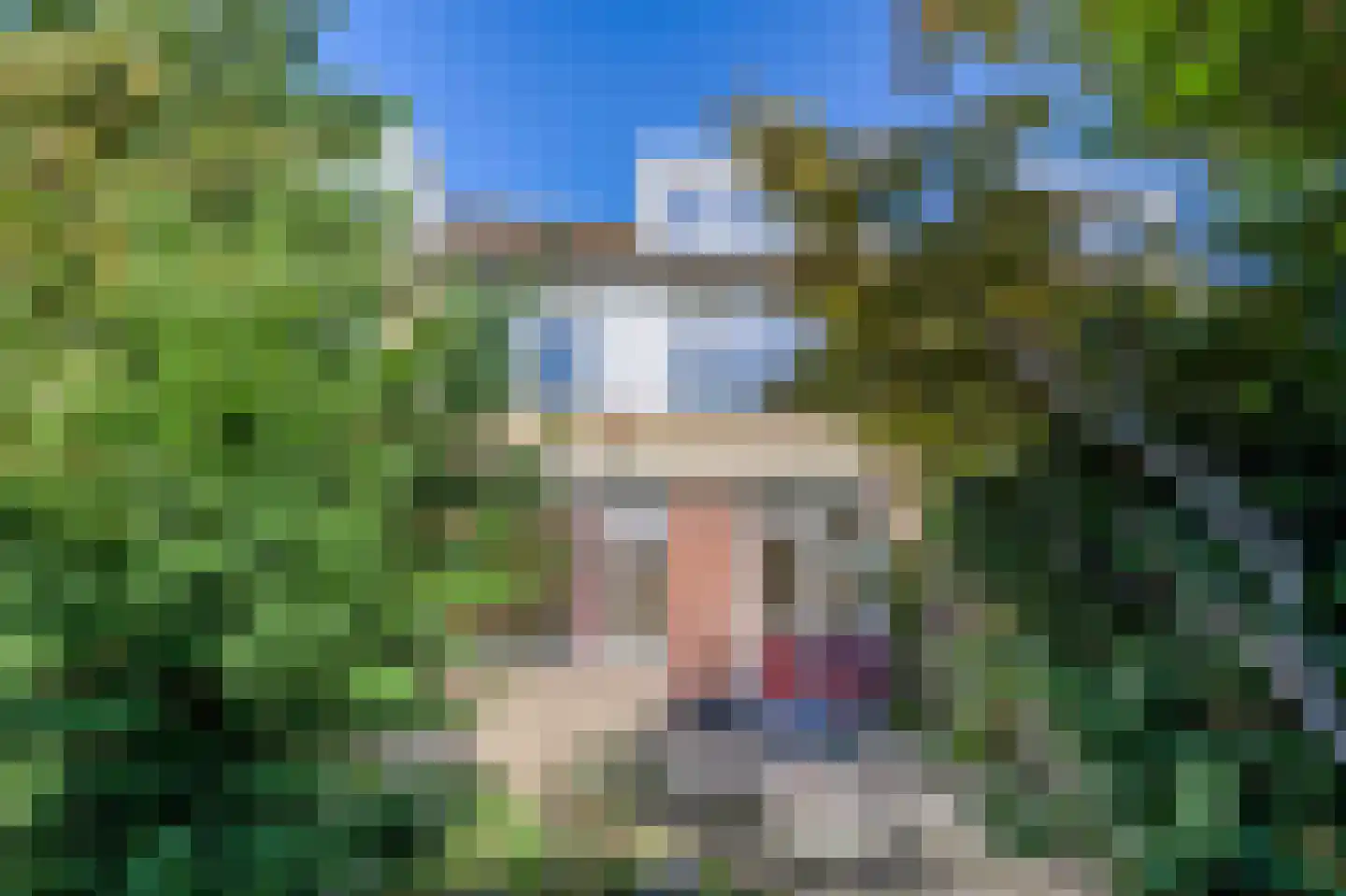 Paedsenakker 20 Rijnsburg thumbnail 25