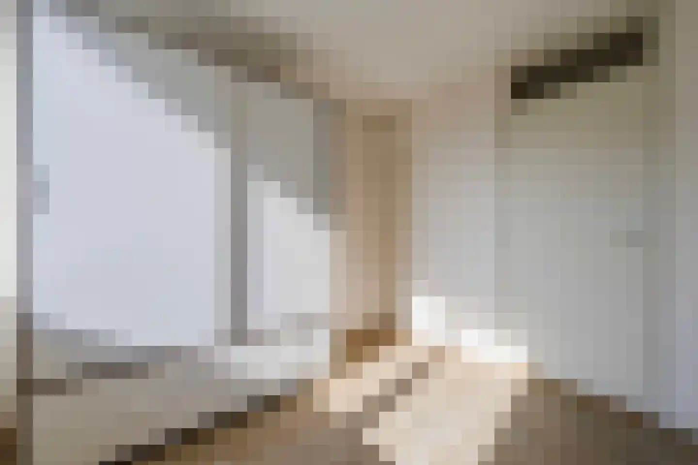 Paedsenakker 20 Rijnsburg thumbnail 32
