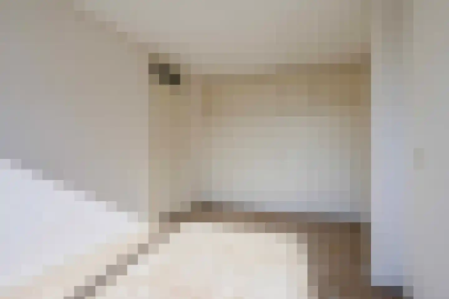 Paedsenakker 20 Rijnsburg thumbnail 34