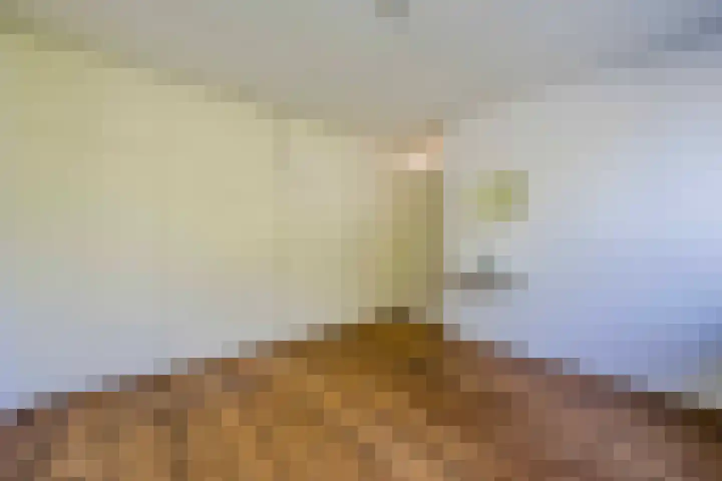 Paedsenakker 20 Rijnsburg thumbnail 36