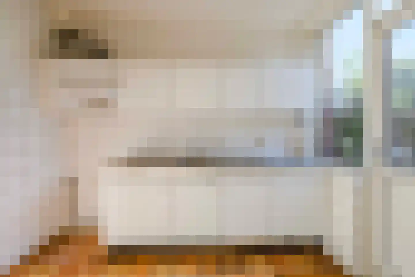 Paedsenakker 20 Rijnsburg thumbnail 4