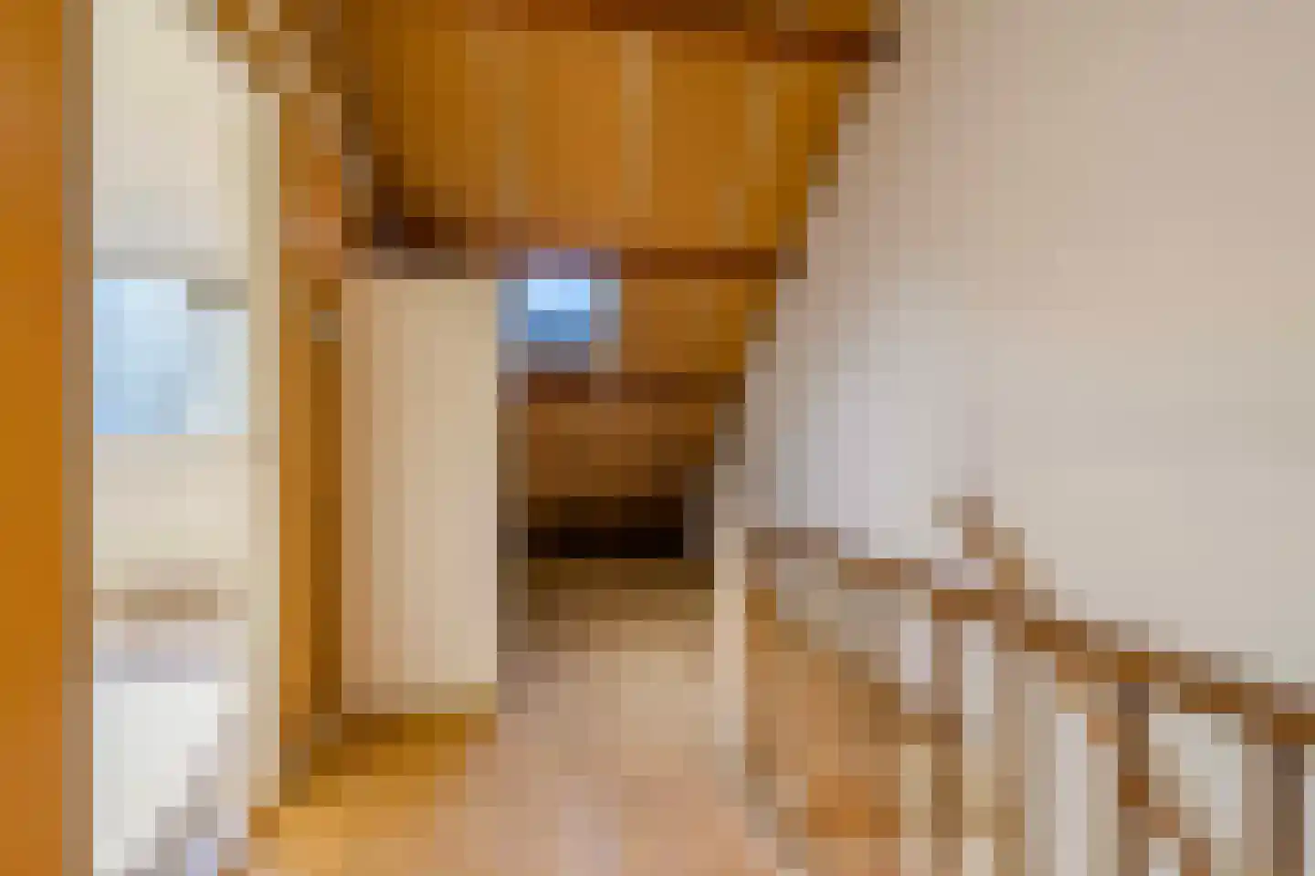 Paedsenakker 20 Rijnsburg thumbnail 40