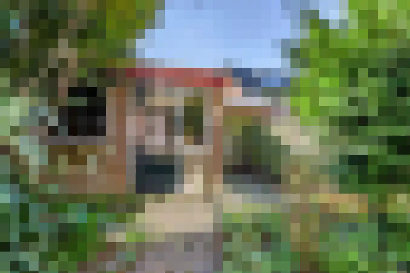 Paedsenakker 20 Rijnsburg thumbnail 5