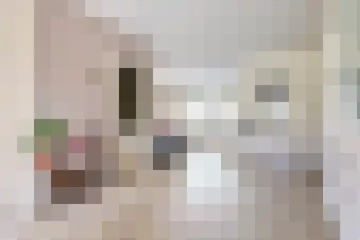 Paedsenakker 58 Rijnsburg thumbnail 14