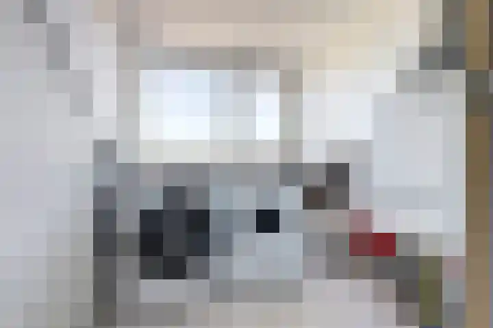 Paedsenakker 58 Rijnsburg thumbnail 36