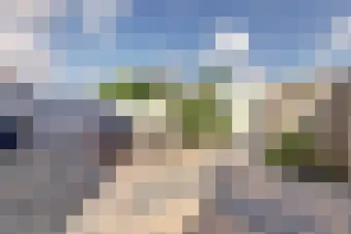 Paedsenakker 58 Rijnsburg thumbnail 40