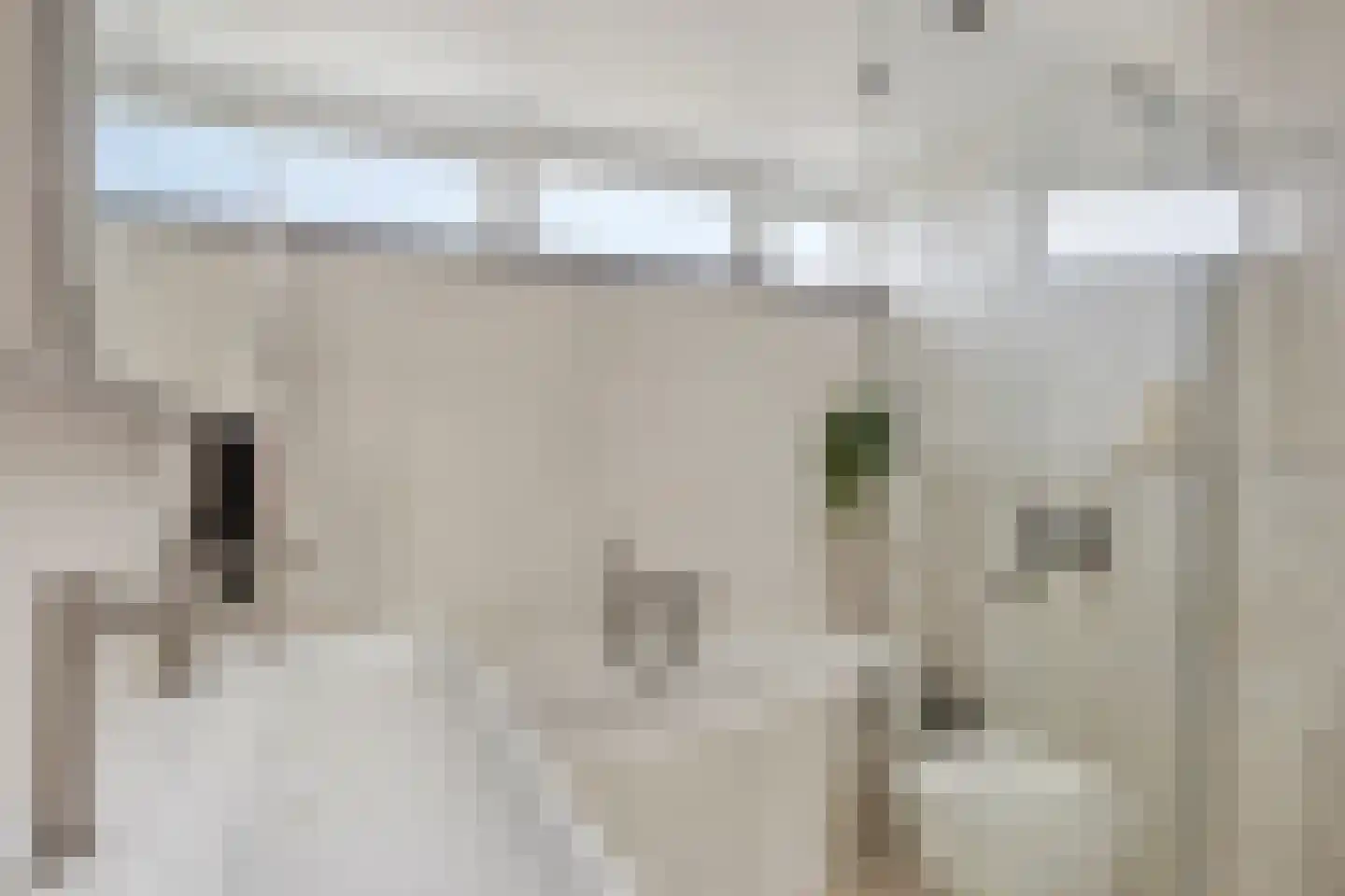 Paedtslaan 18 Wassenaar thumbnail 21