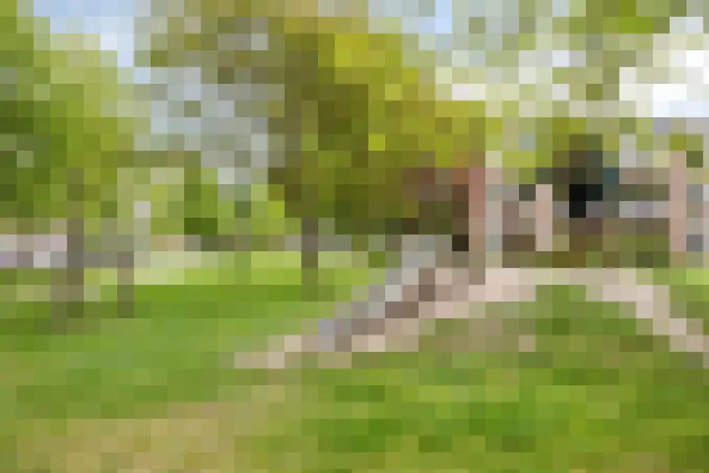 Paedtslaan 18 Wassenaar thumbnail 44
