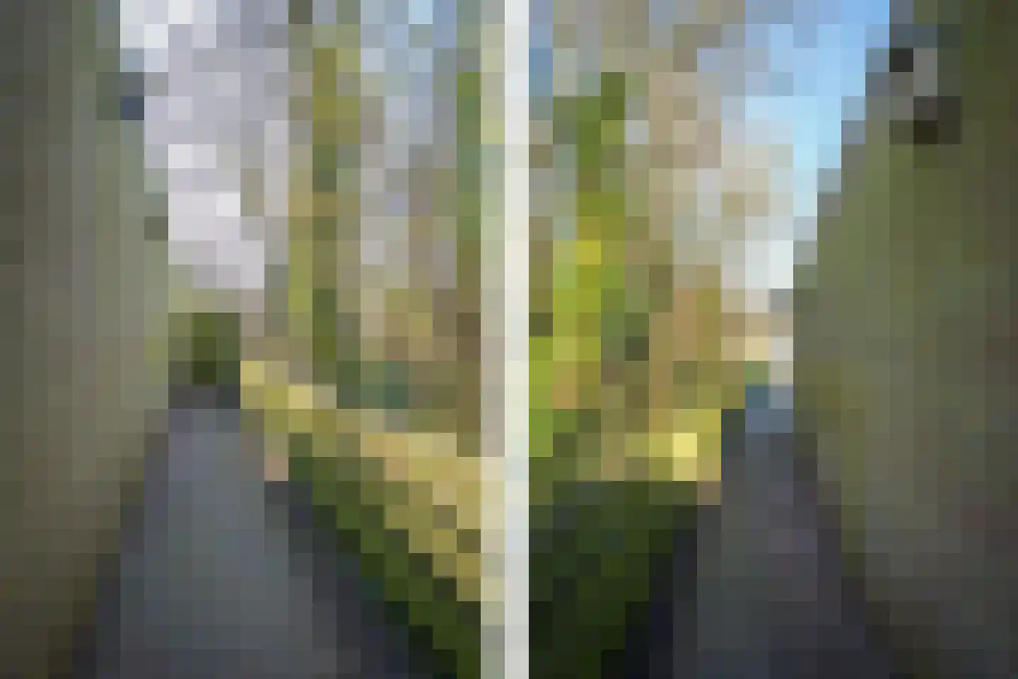 Paelwerck 49 Den Burg thumbnail 29