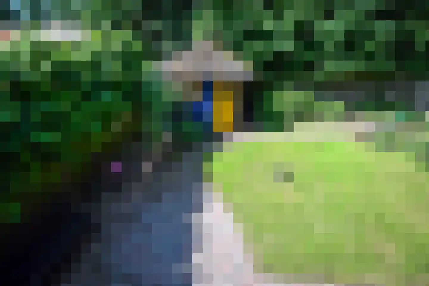 Paelwerck 49 Den Burg thumbnail 30