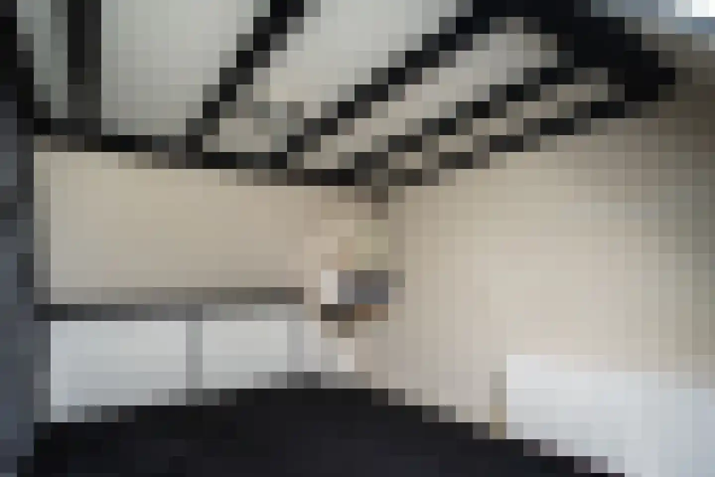 Paelwerck 49 Den Burg thumbnail 44