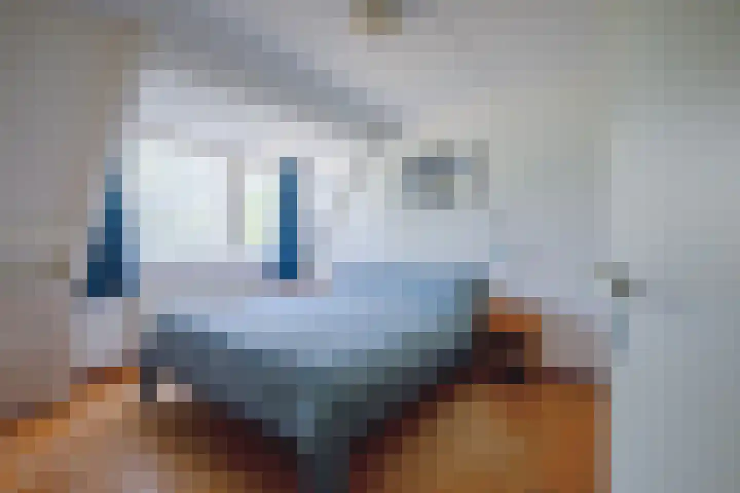 Paelwerck 51 Den Burg thumbnail 11