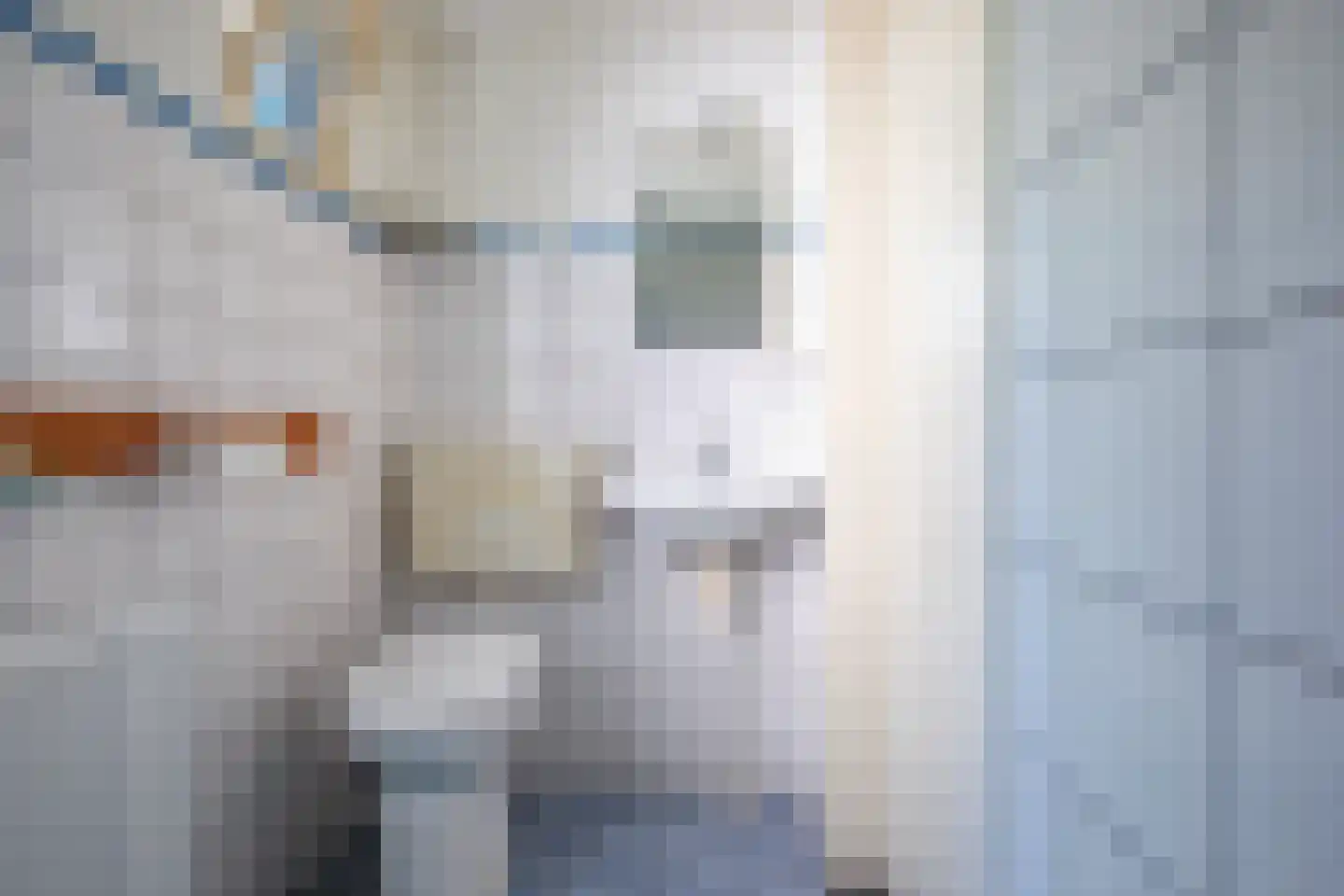 Paelwerck 51 Den Burg thumbnail 7