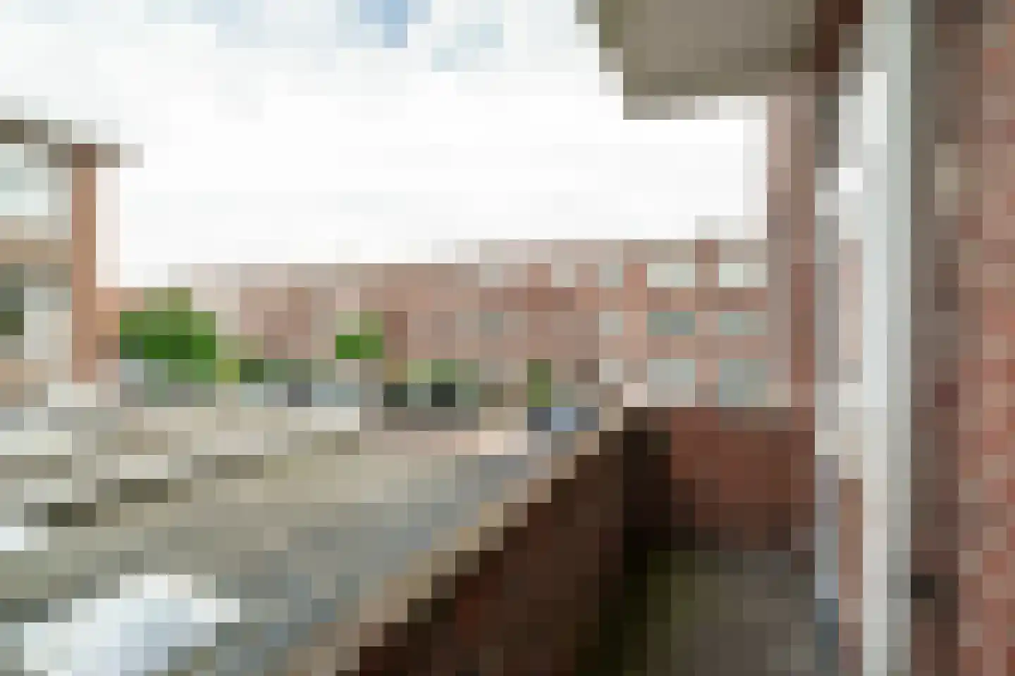 Paets van Troostwijkstraat 101 Den Haag thumbnail 13
